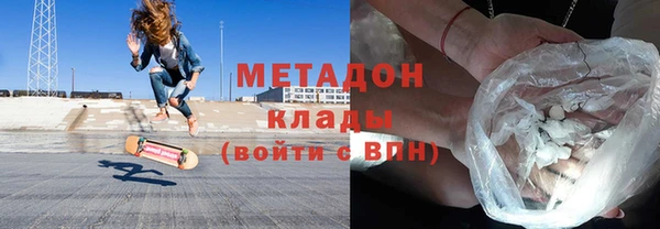 прущие грибы Абаза