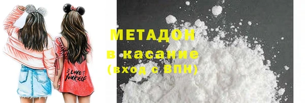прущие грибы Абаза