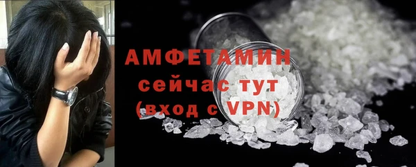 прущие грибы Абаза