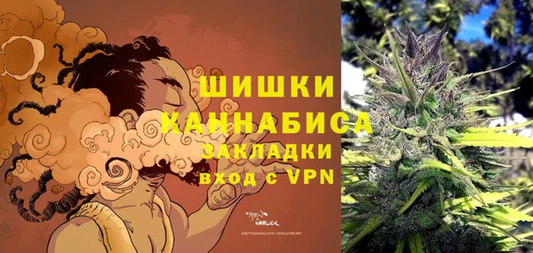 прущие грибы Абаза