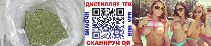 как найти   Чегем  Дистиллят ТГК гашишное масло 