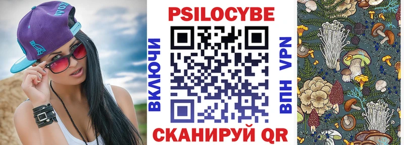 Псилоцибиновые грибы прущие грибы  Чегем 